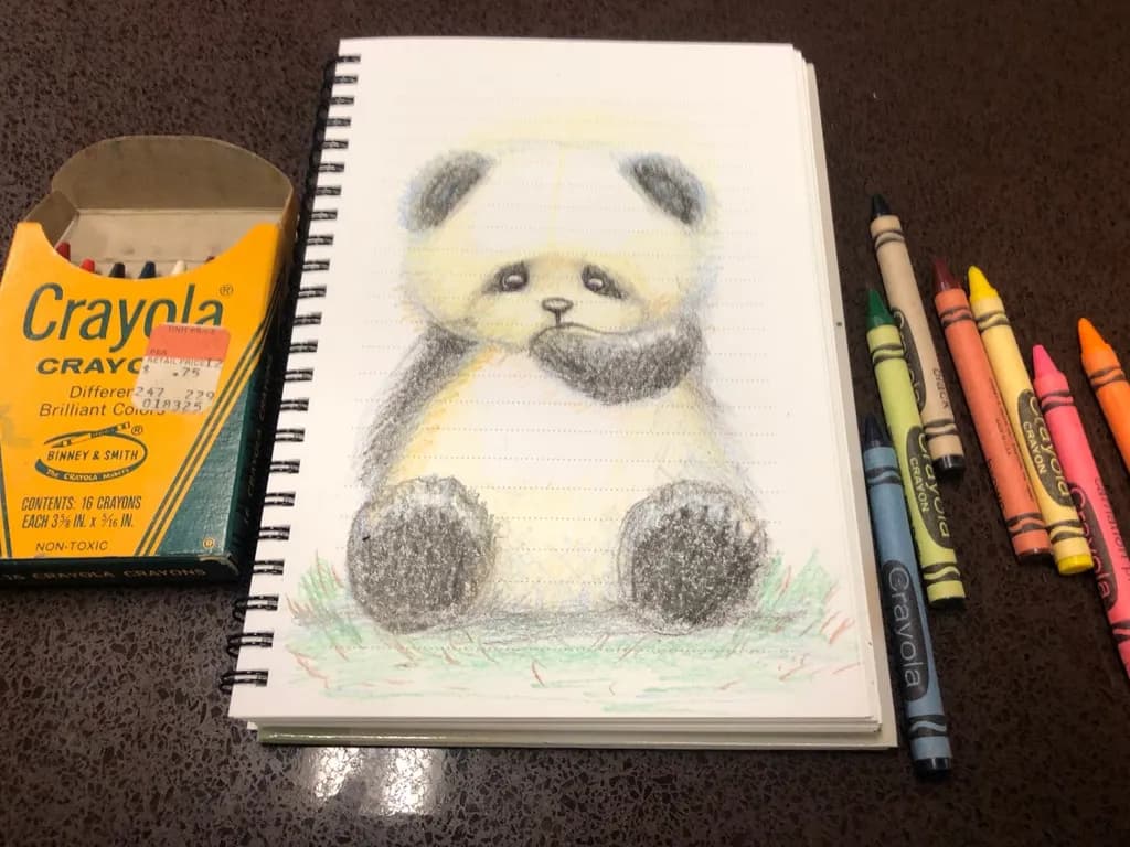 Whimsical Panda Dreams: A Nostalgic Crayon Adventure in Colorful Imagination