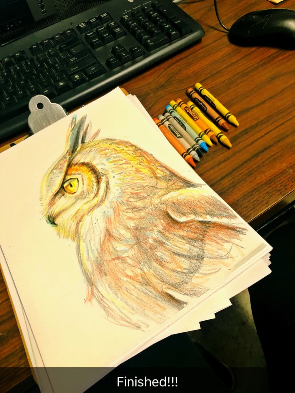 Whispers of Freedom: A Colorful Owl's Journey Through Art and Emotion