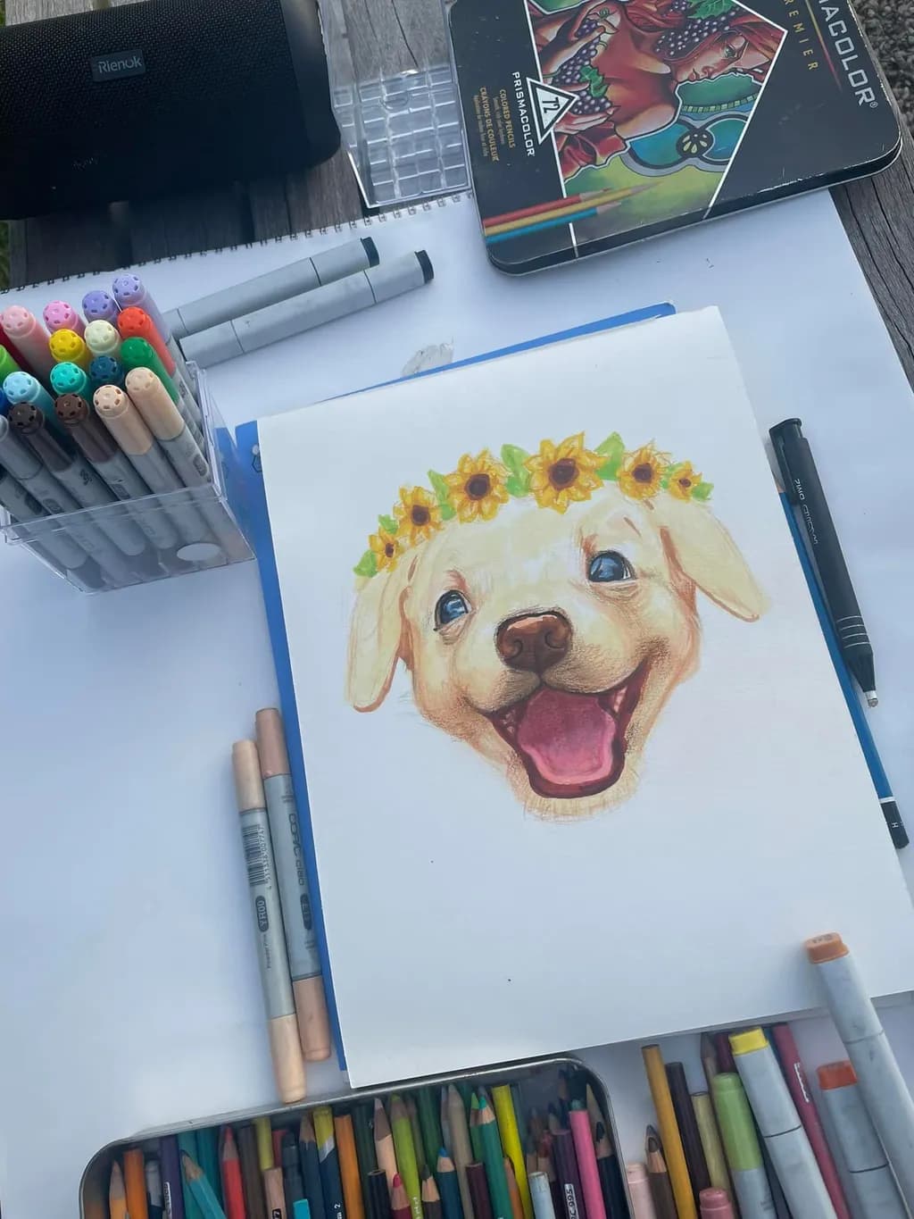 Sunny Smiles