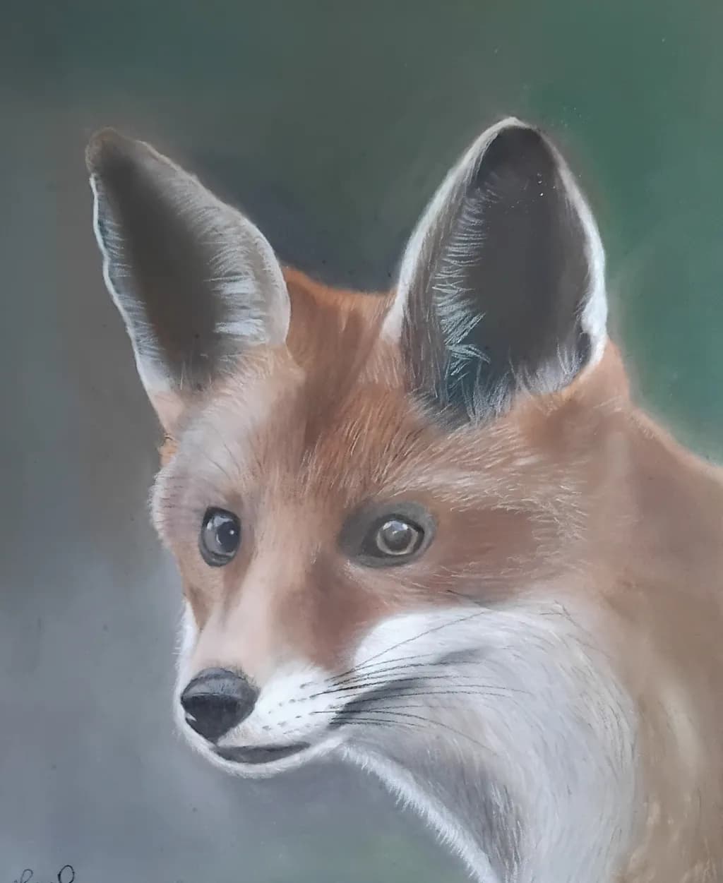 Quiet Gaze