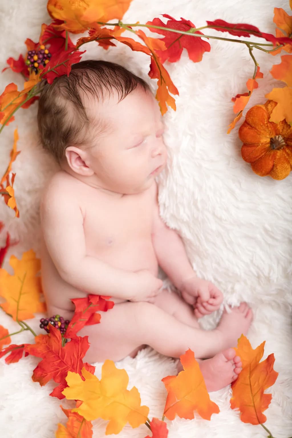 Autumn Dreams: A Serene Newborn Embraced by Nature's Colors