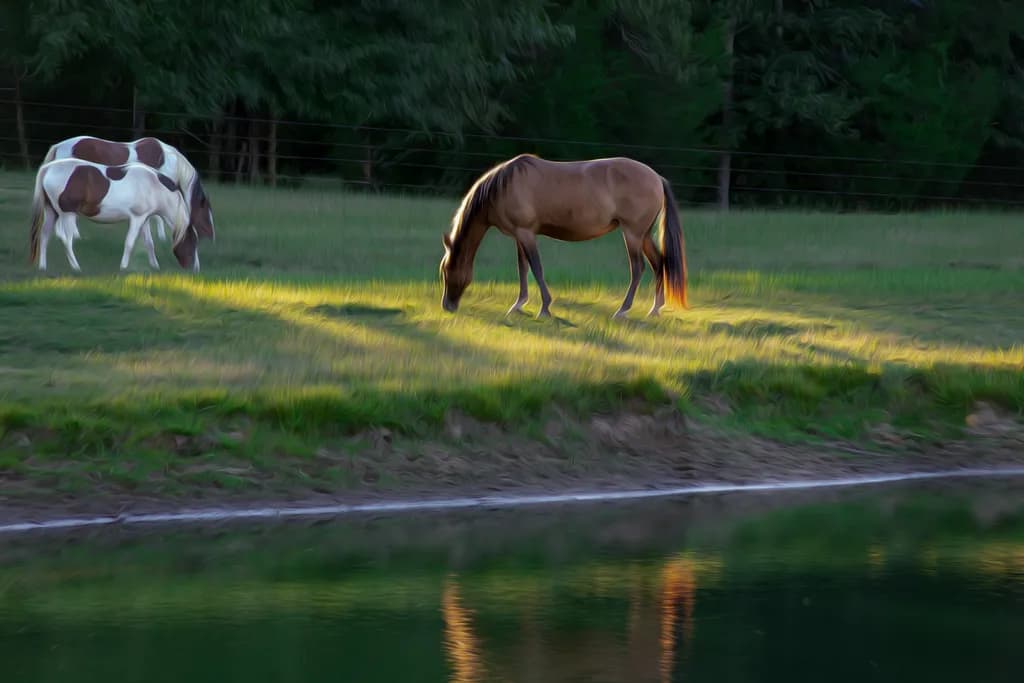 Grazing Reflections