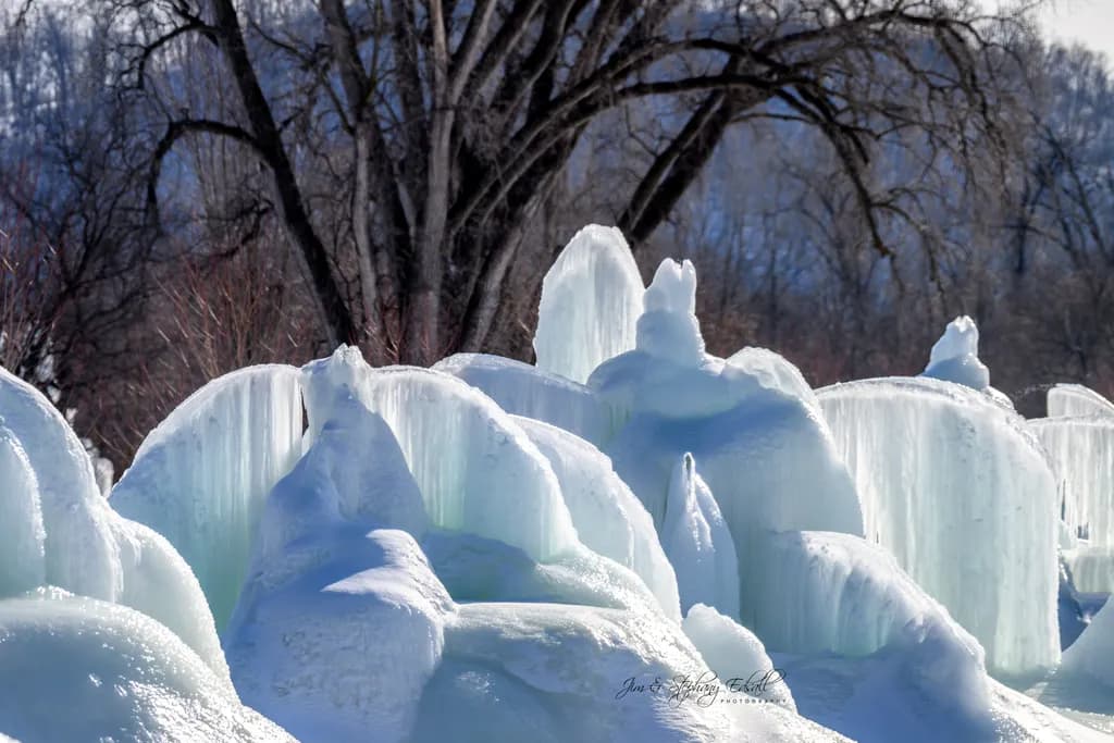 Icy Majesty
