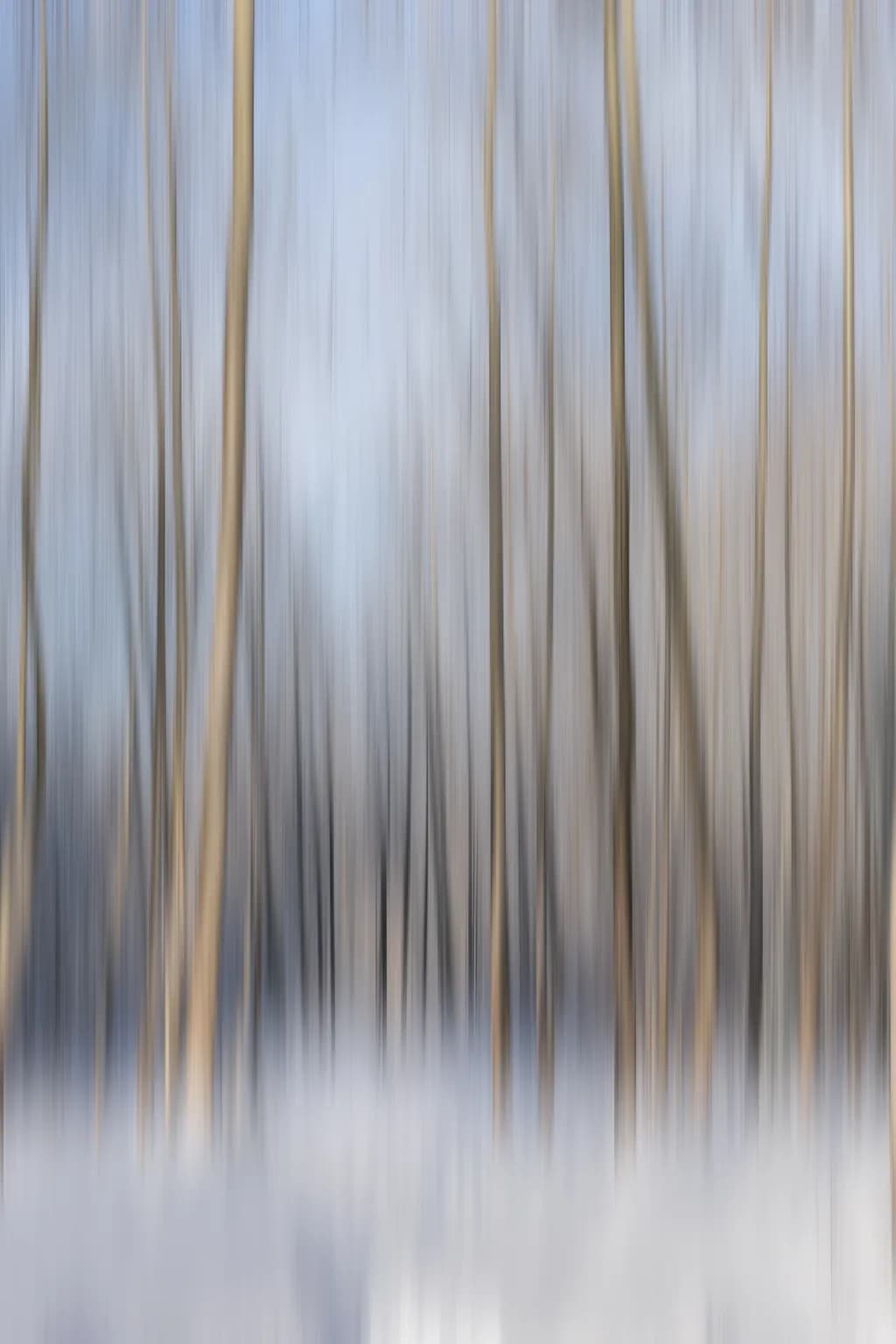Abstract Trees
