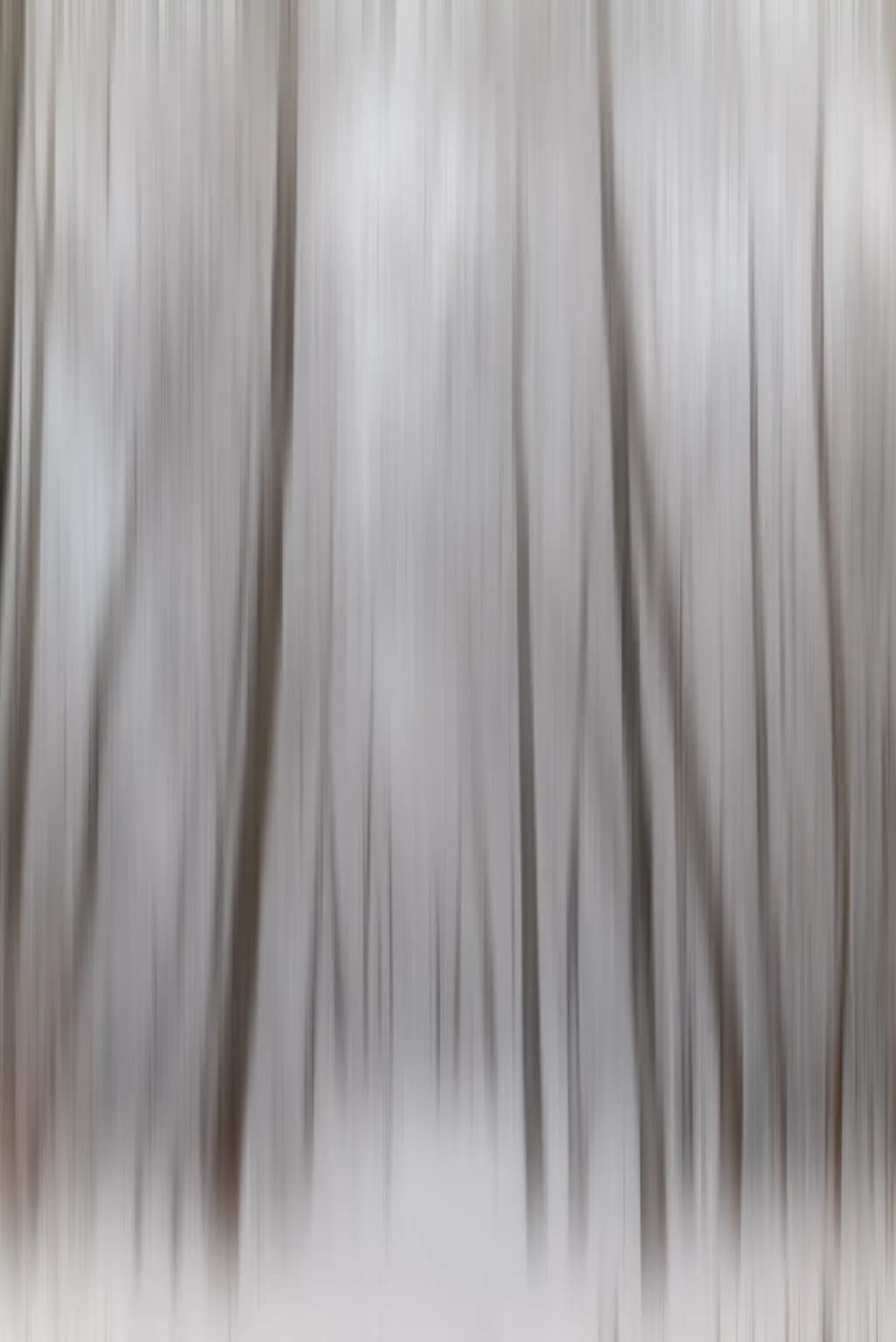 Abstract Trees