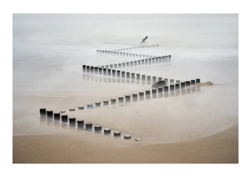 Coastal Pathways