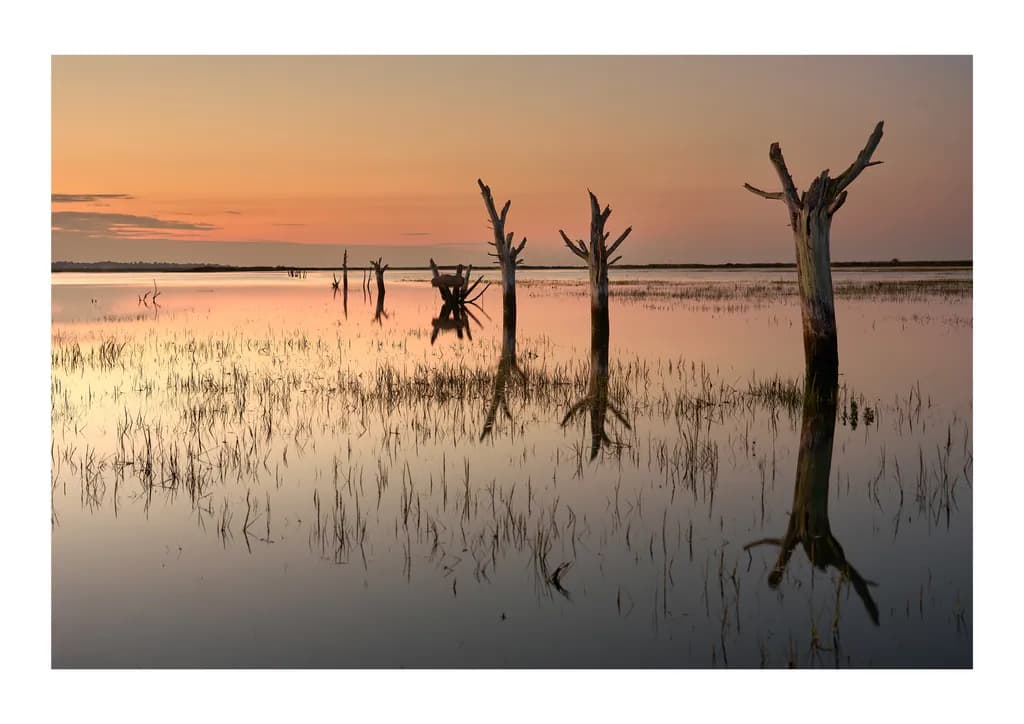 Reflections at Dawn