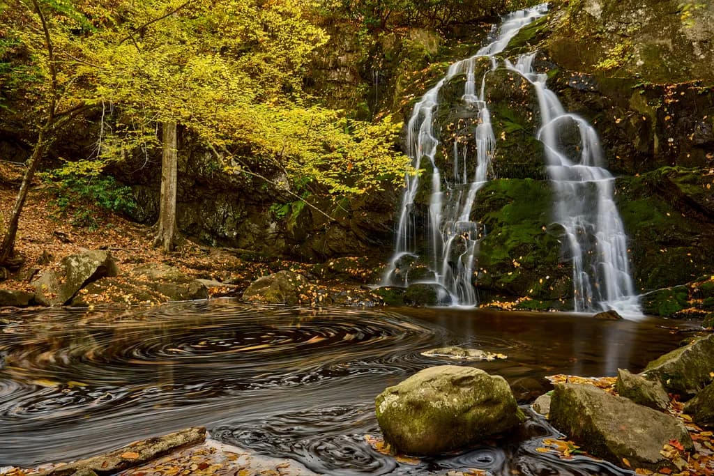 Spruce Flat Falls, Smoky Mountains