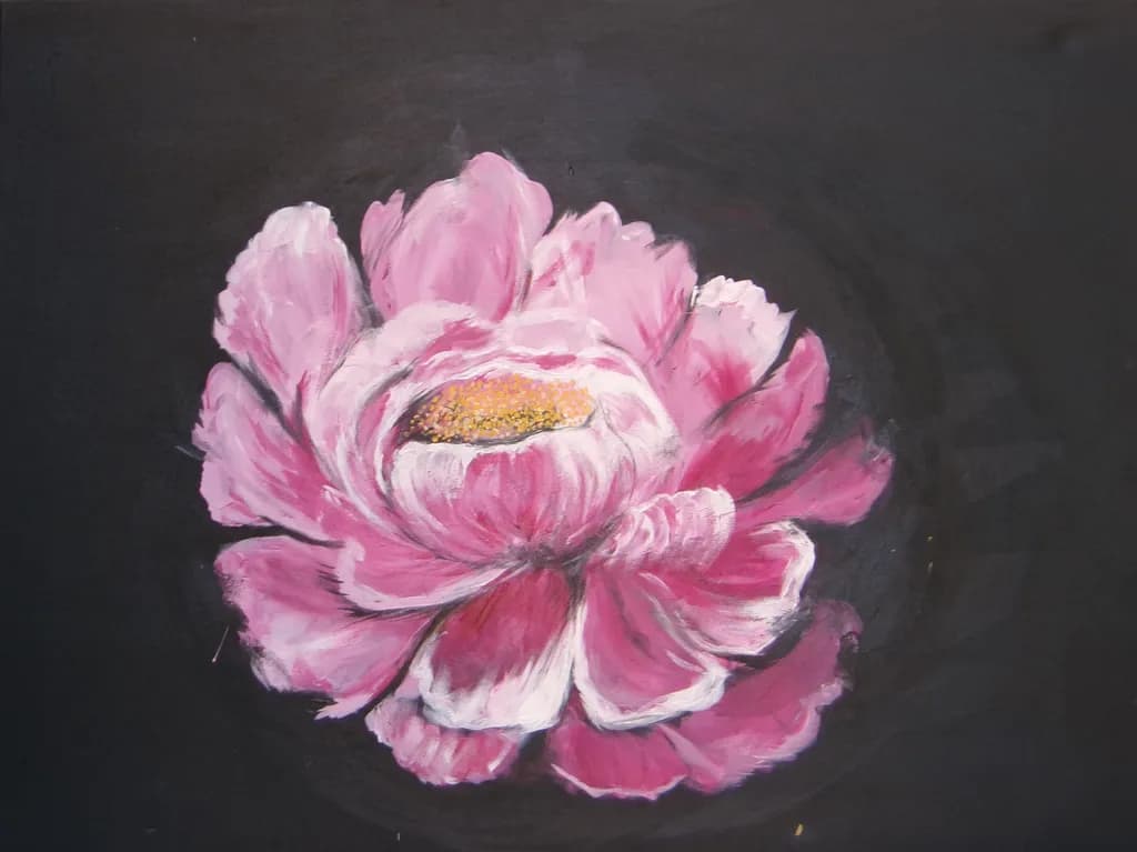 Blossoming Elegance: A Vibrant Pink Lotus on Dark Canvas