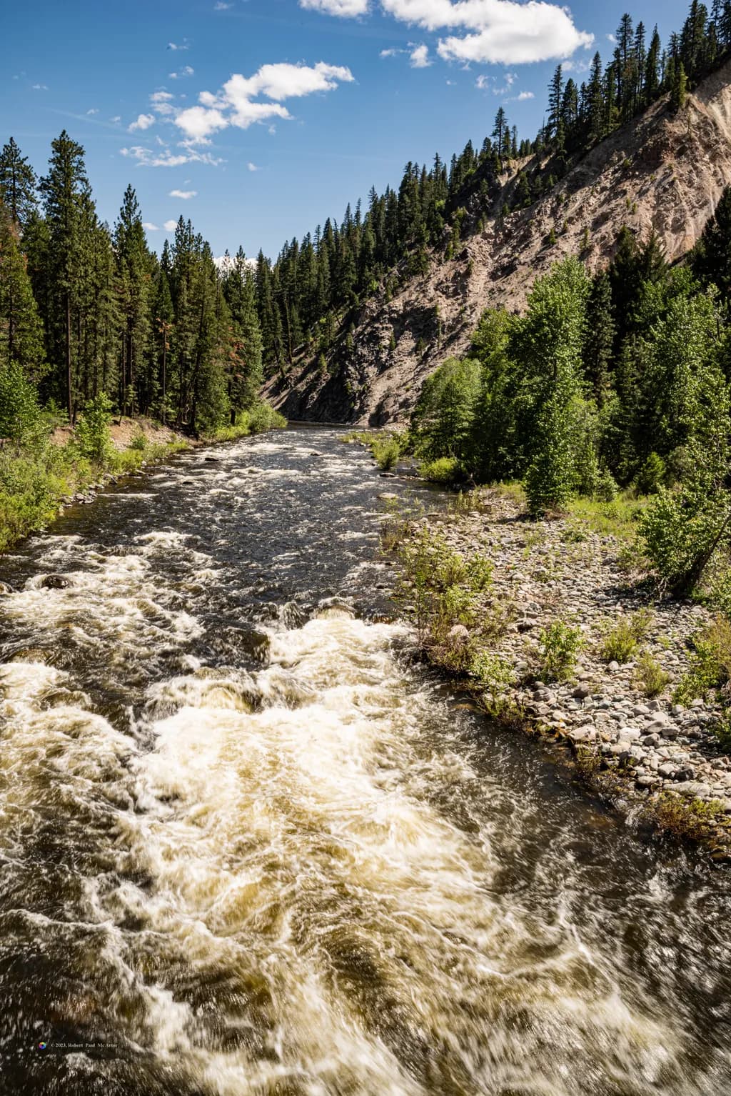 Feather River Late Spring