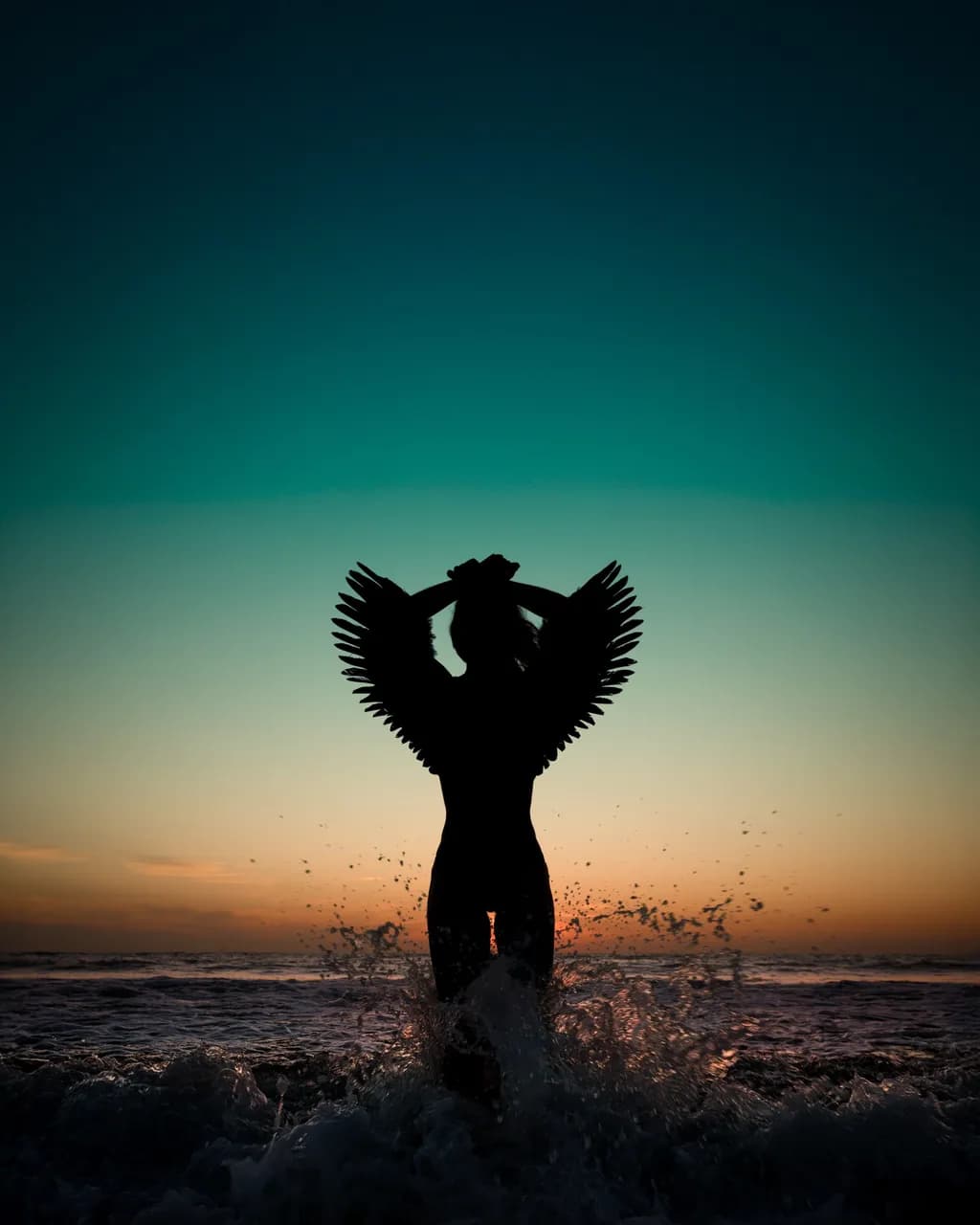 Wings at Sunset