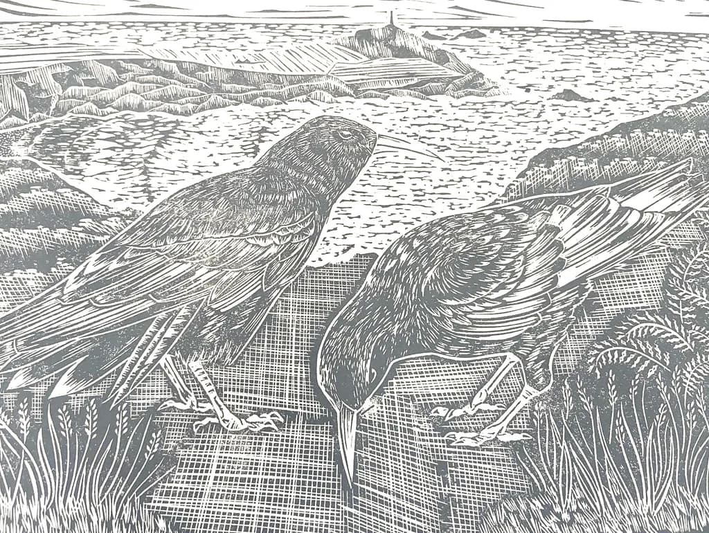 Coastal Companions