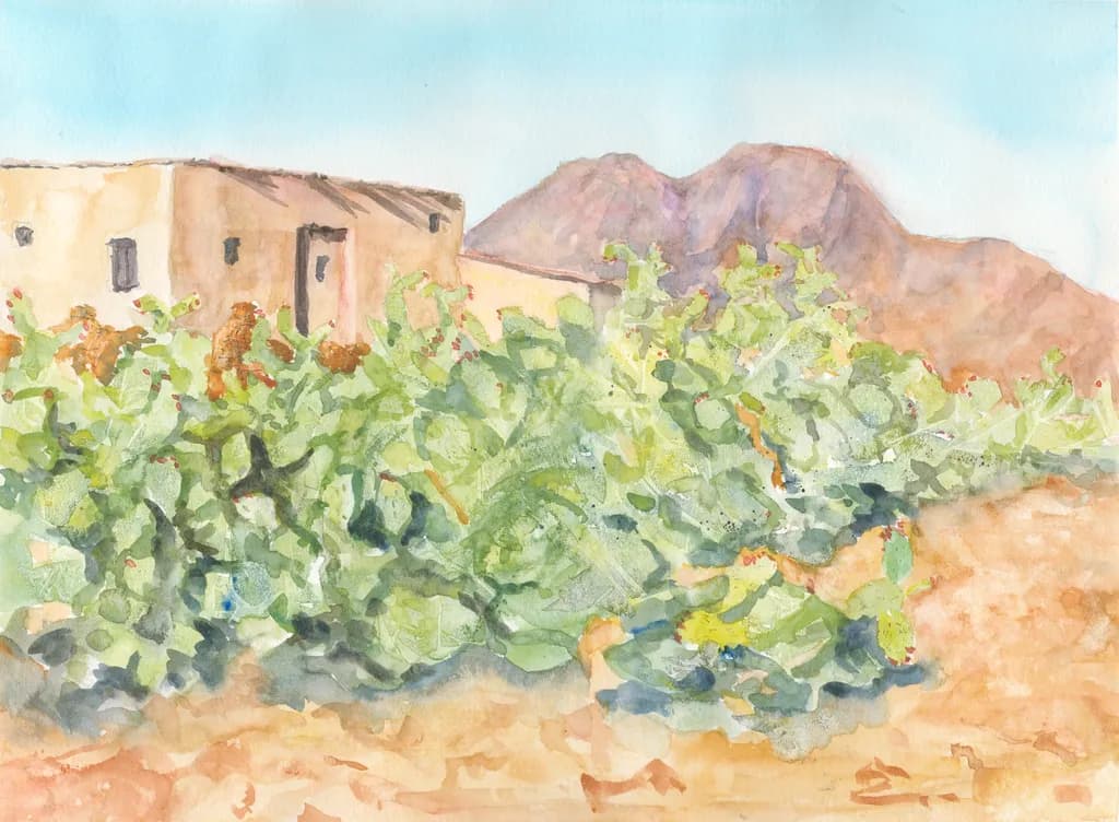 Prickly Pear Vista