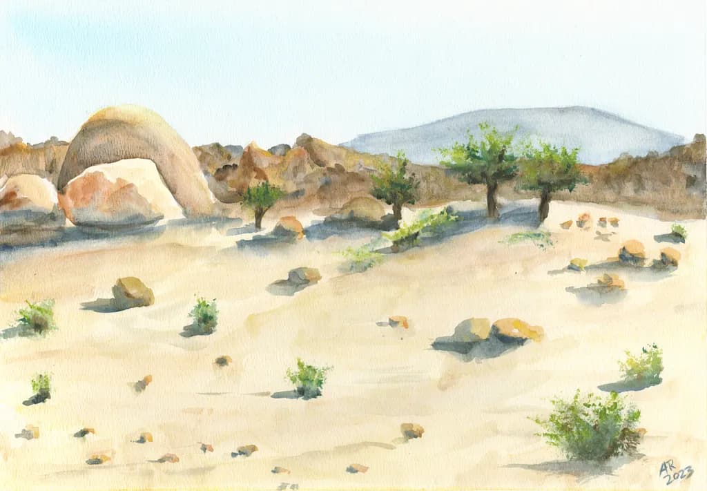 Maroc Desert Scene