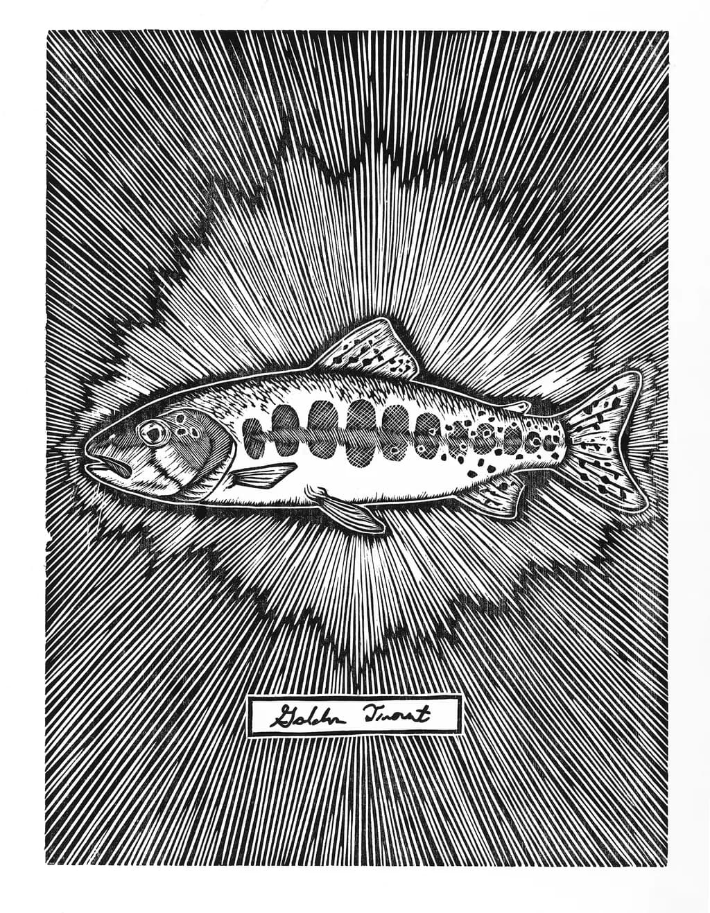 Golden Trout: A Radiant Tribute to Nature's Beauty