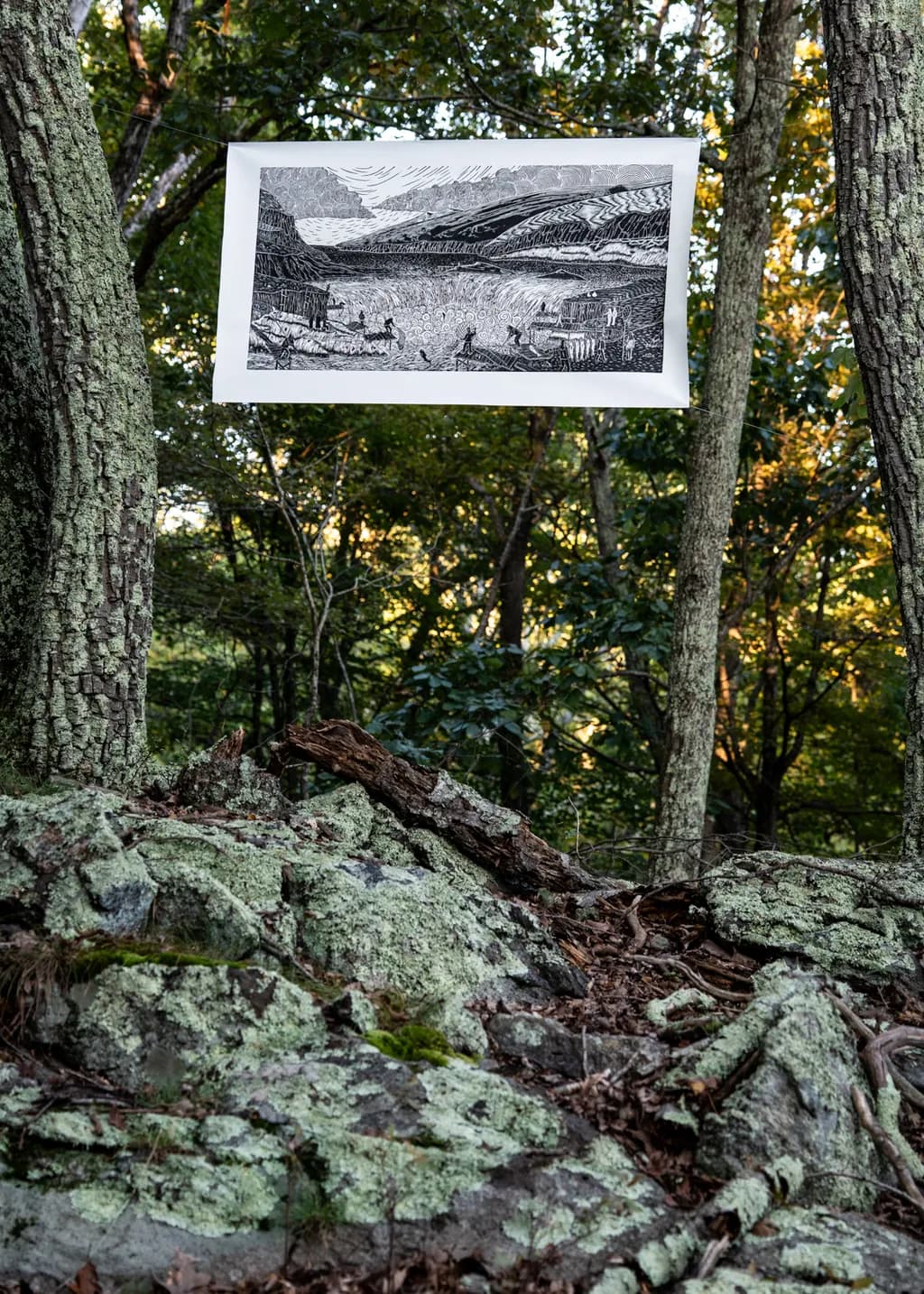 Whispers of the Forest: A Maritime Landscape in Printmaking Harmony