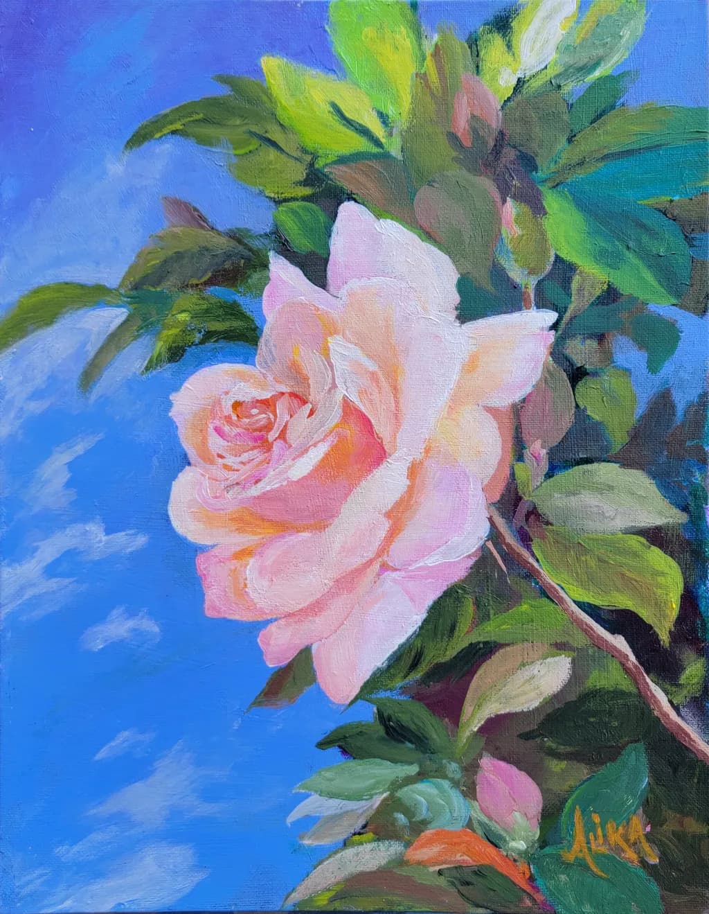 Pink Rapture 