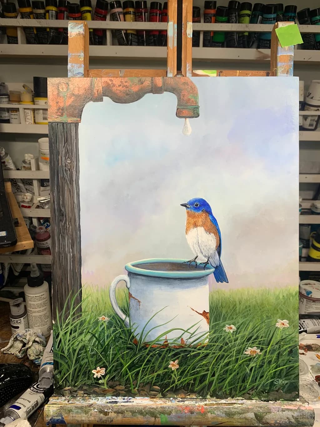 Bluebird's Oasis