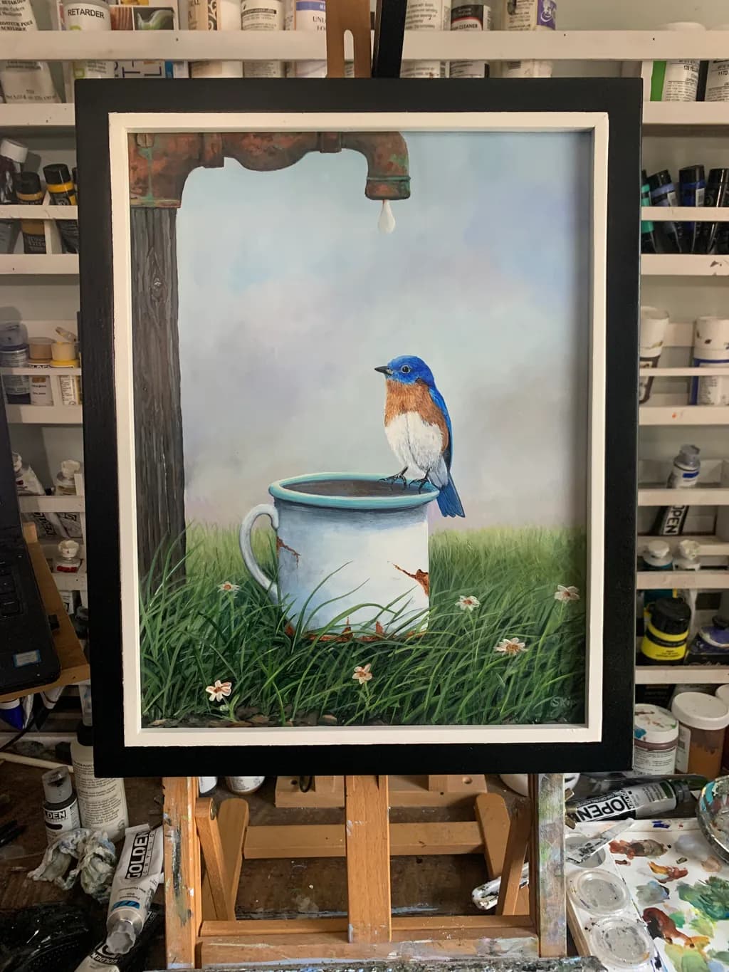 Bluebird's Oasis
