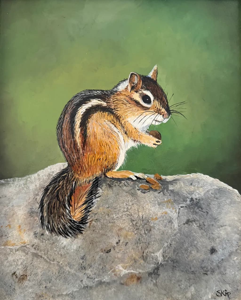 Chipmunk Delight