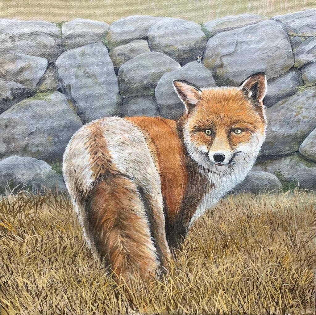Fox and Wall