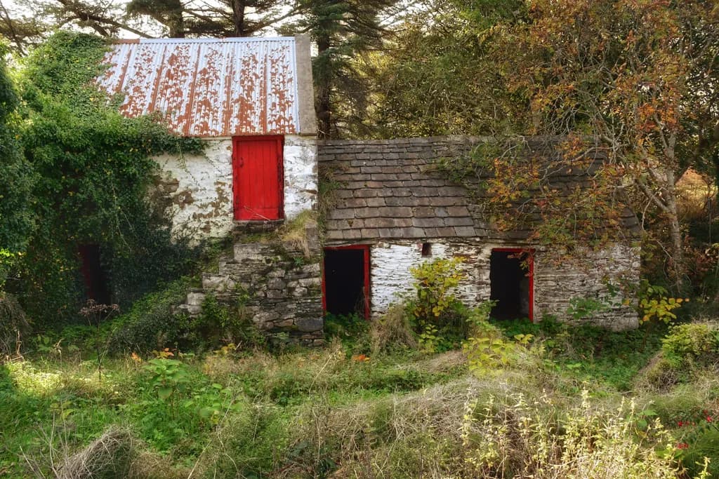 Whispers of Time: The Enchanted Abandoned Cottage in Nature's Embrace