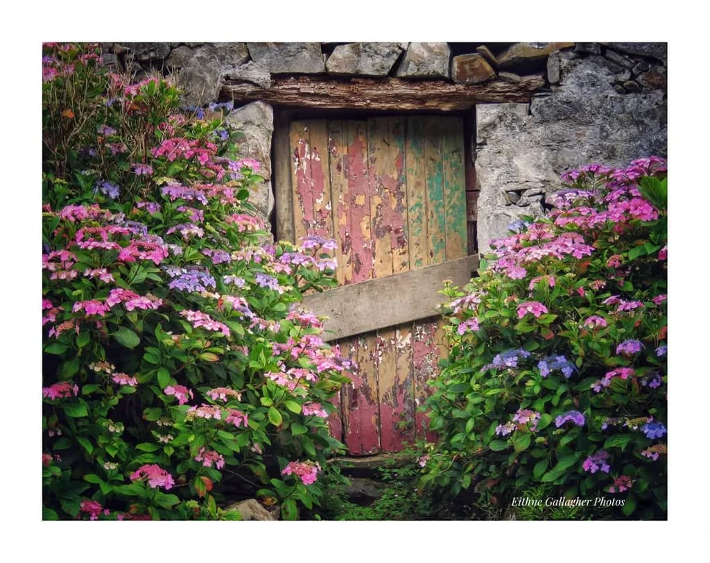 Colorful Doorway