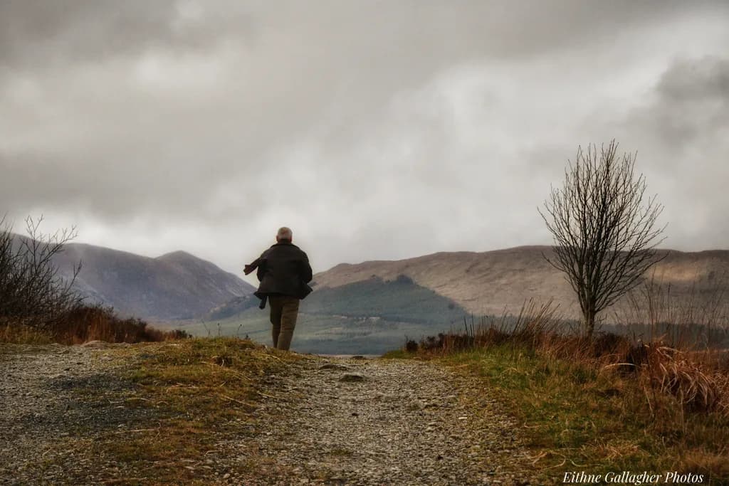 Path to Solitude