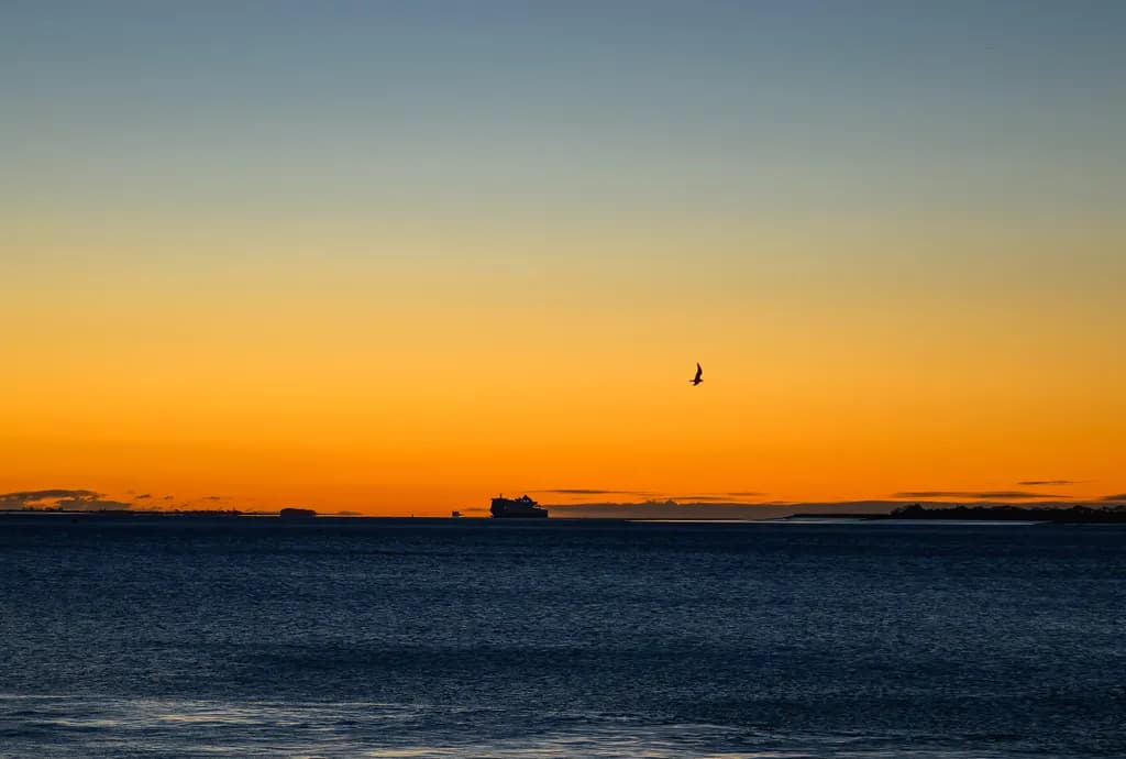 Sunrise Ferry