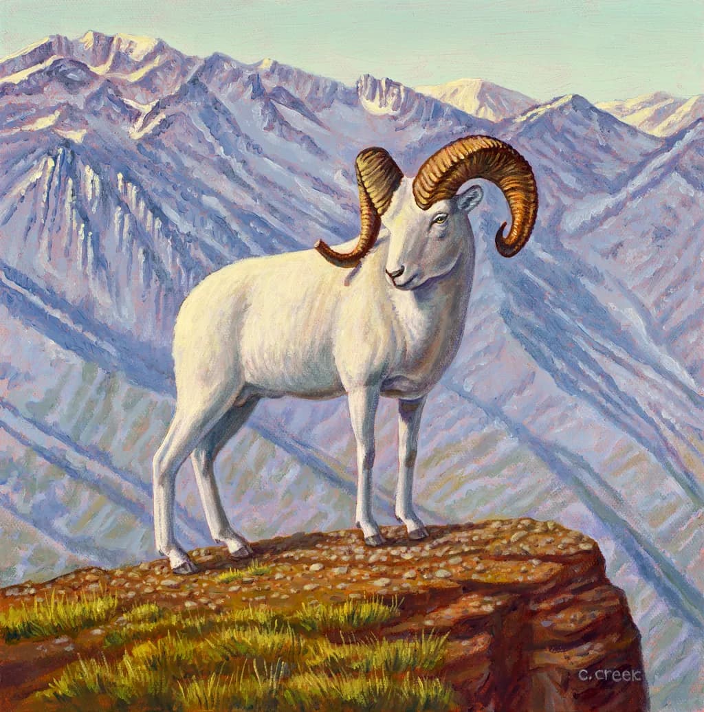 Summit Vista