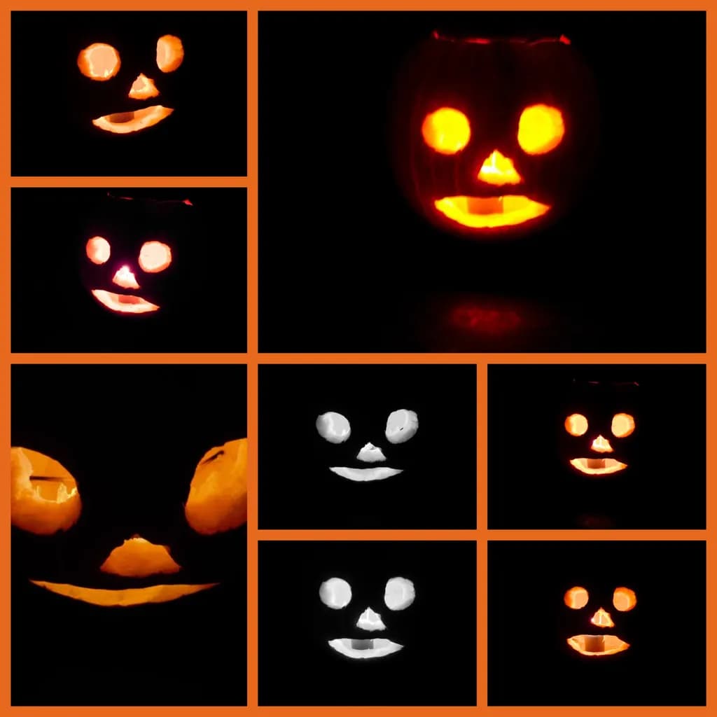 Whimsical Glow: A Playful Pumpkin Portrait Collection