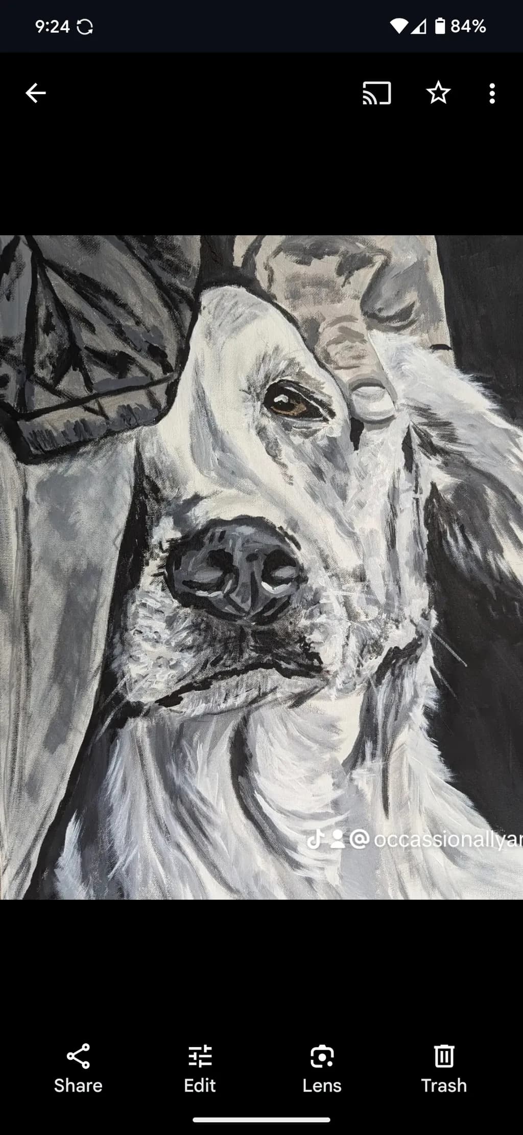 Whispers of Loyalty: A Portrait of a Beloved Companion