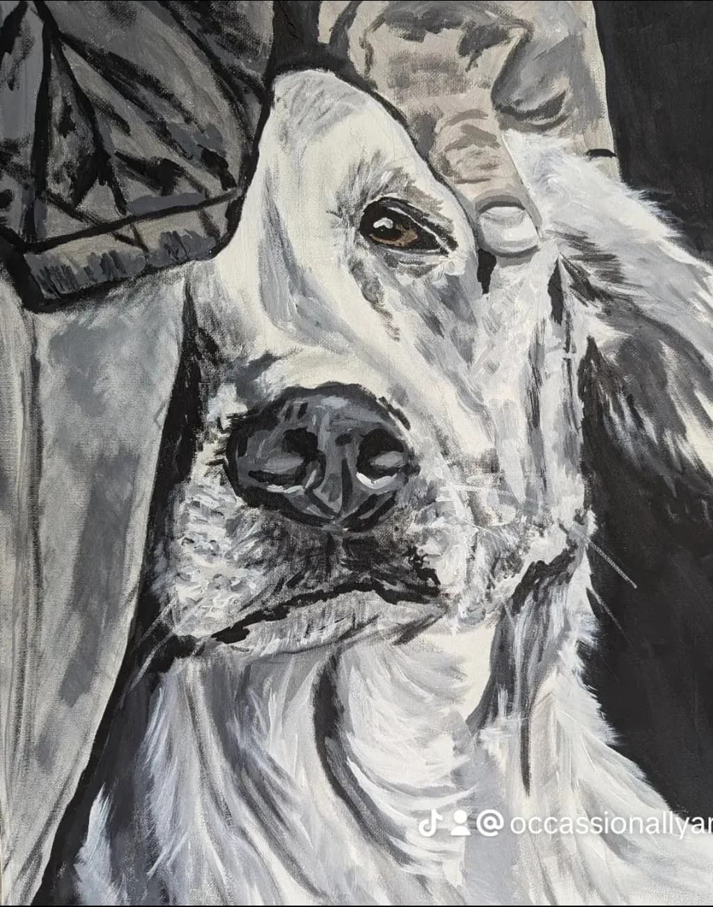 Whispers of Loyalty: A Tender Moment Between Human and Dog