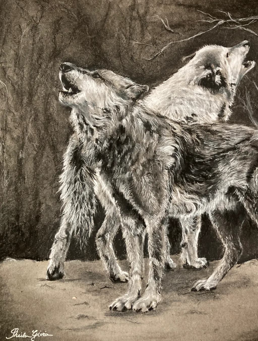 Echoes of the Wild: A Howling Symphony of Wolves in Monochrome