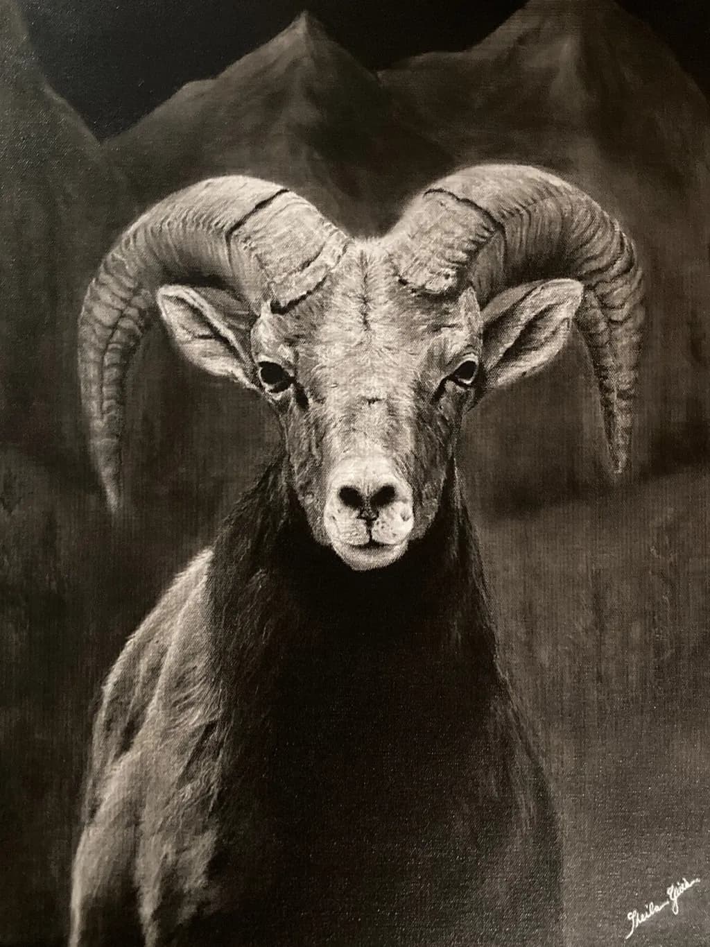 Majestic Ram: A Black-and-White Portrait of Nature's Strength