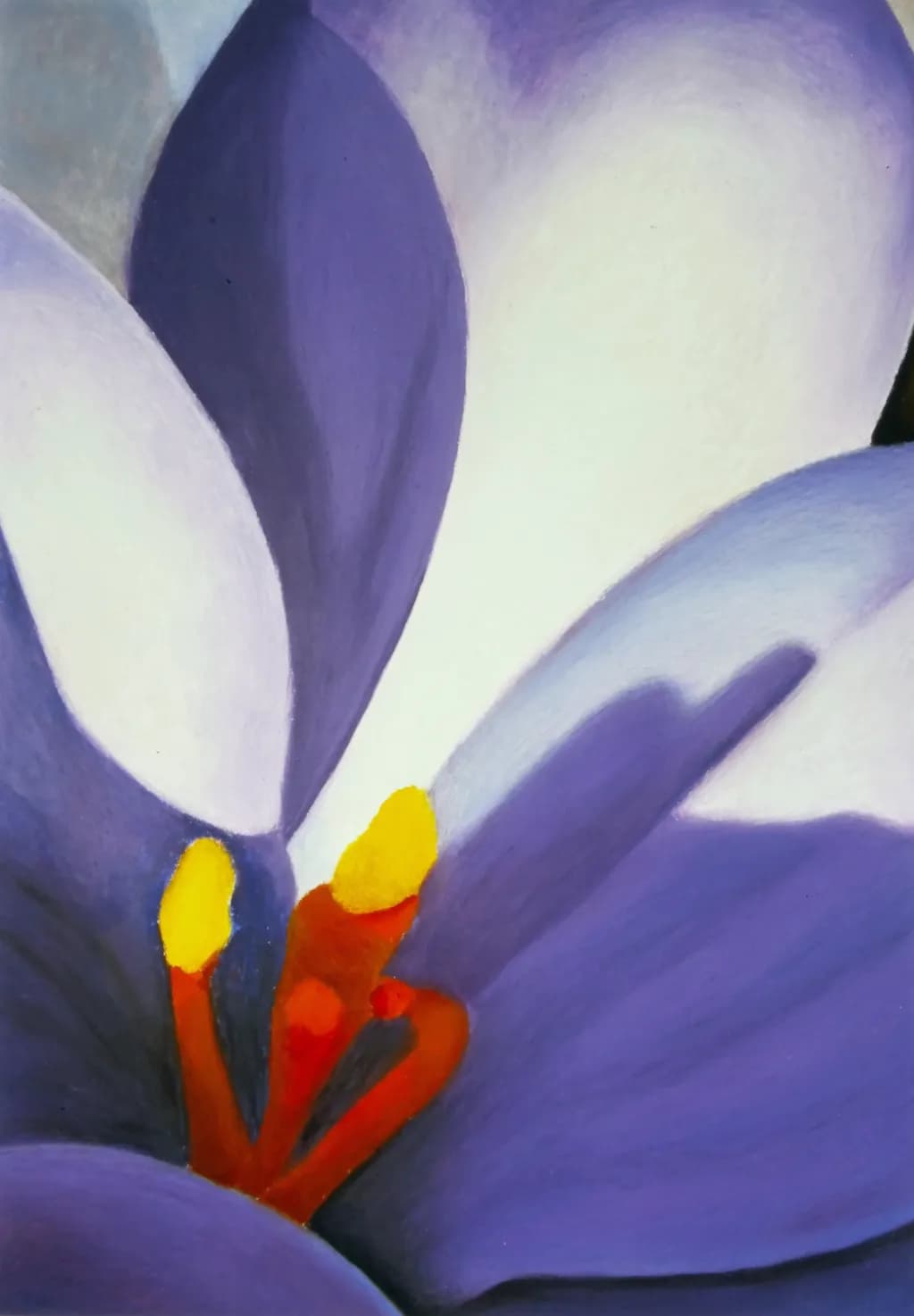 Vibrant Embrace: A Dance of Purple Petals in Nature's Palette