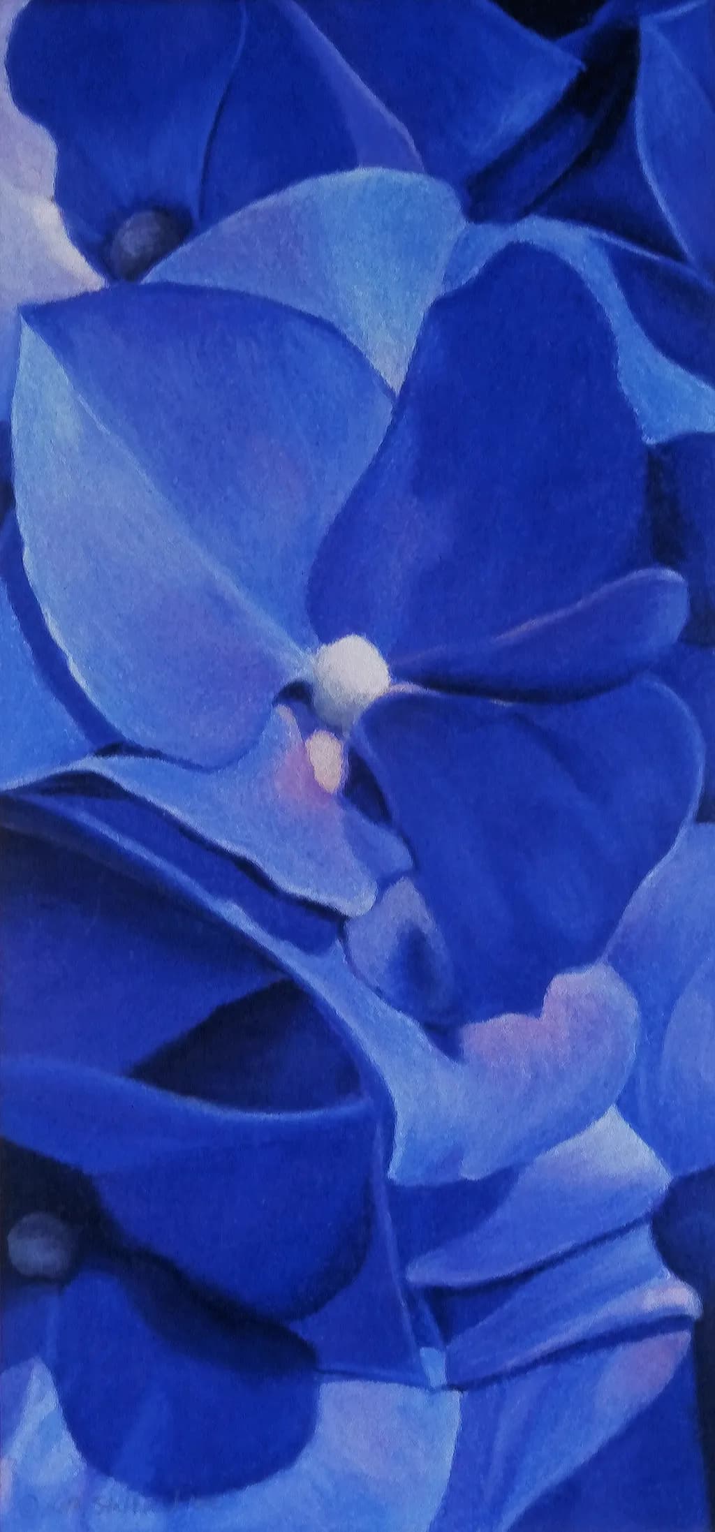 Whispers of Blue: A Floral Symphony in Petals and Texture
