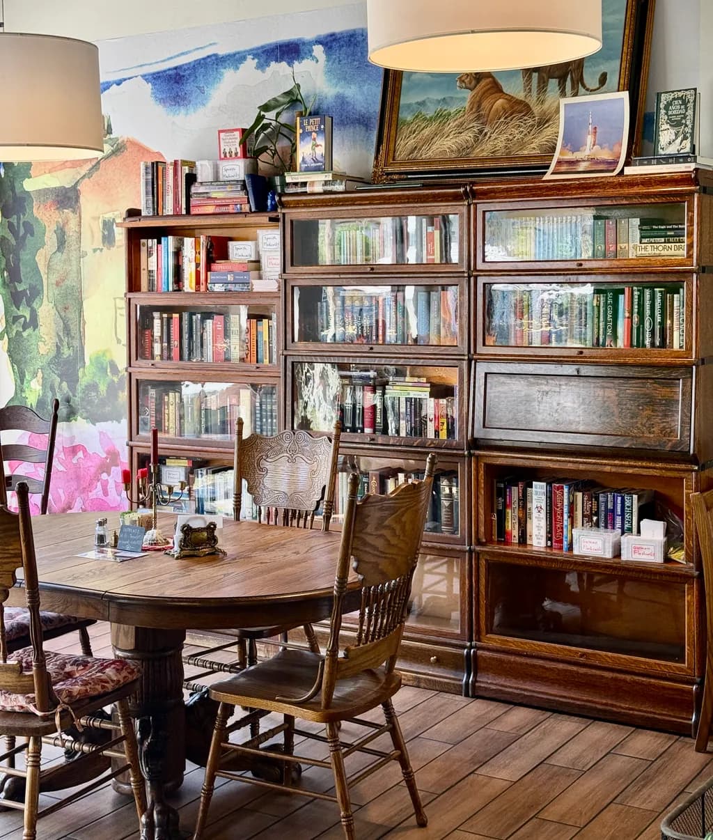 Cozy Bookshelf Retreat