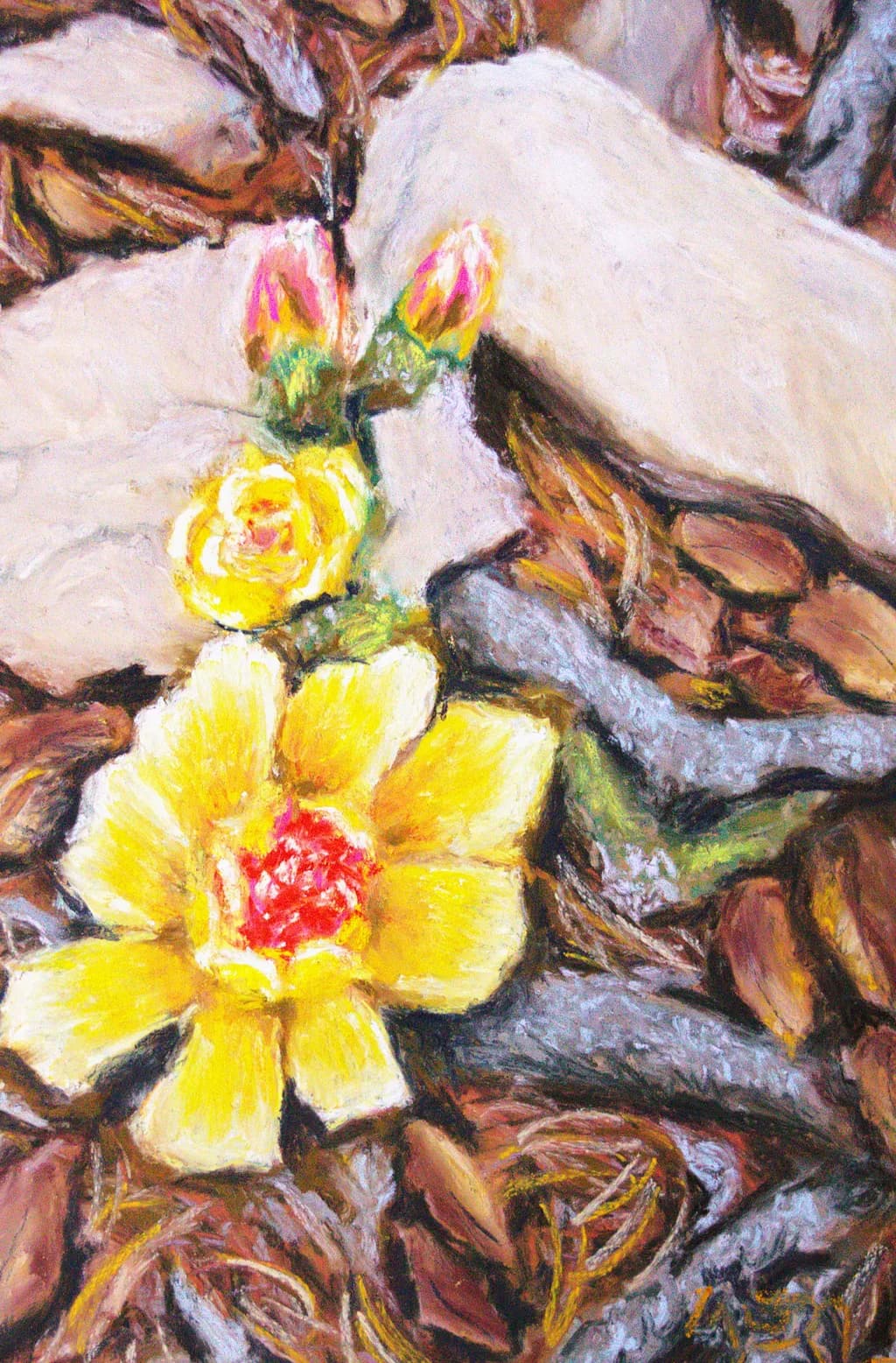 Treasures Underfoot