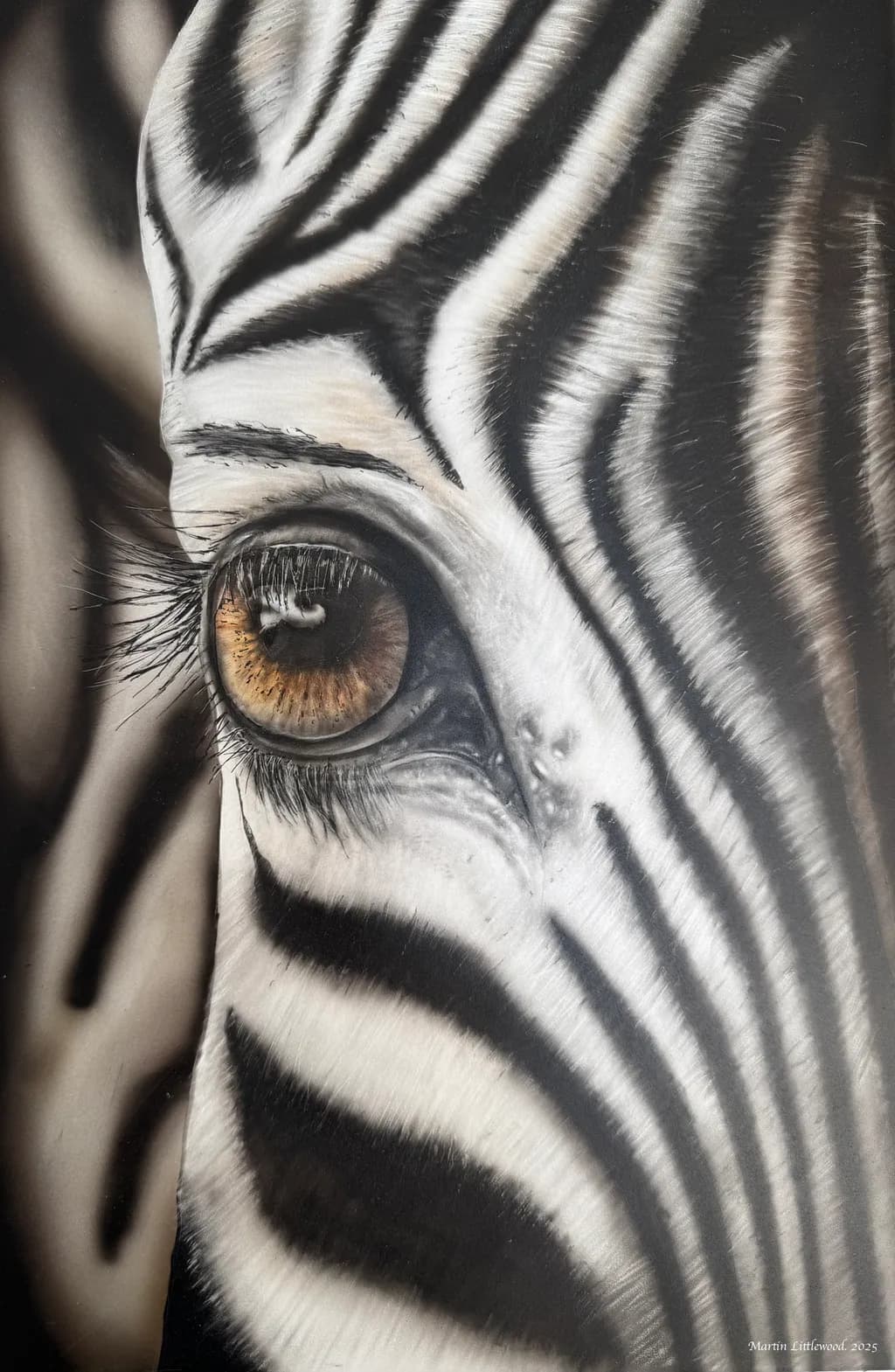 Monochrome Majesty: The Intense Gaze of a Zebra's Eye