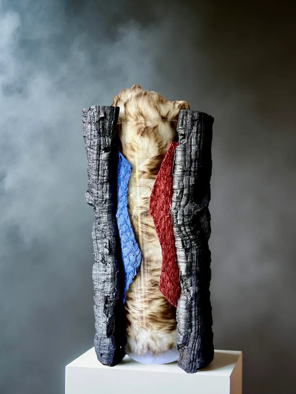 Embers of Identity: A Sculptural Exploration of Texture and Color