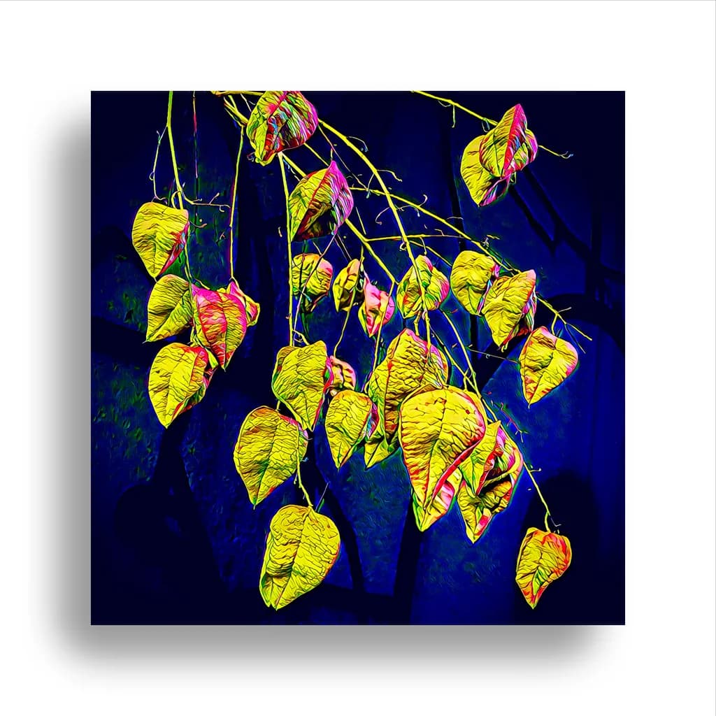 Vibrant Foliage: A Dance of Color and Nature's Contrast