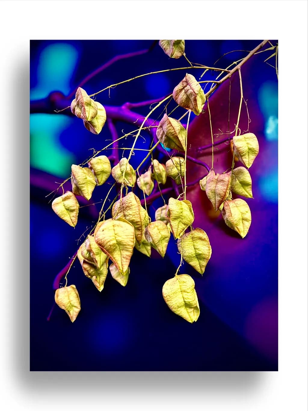 Whispers of Nature: An Abstract Dance of Leaves and Colors