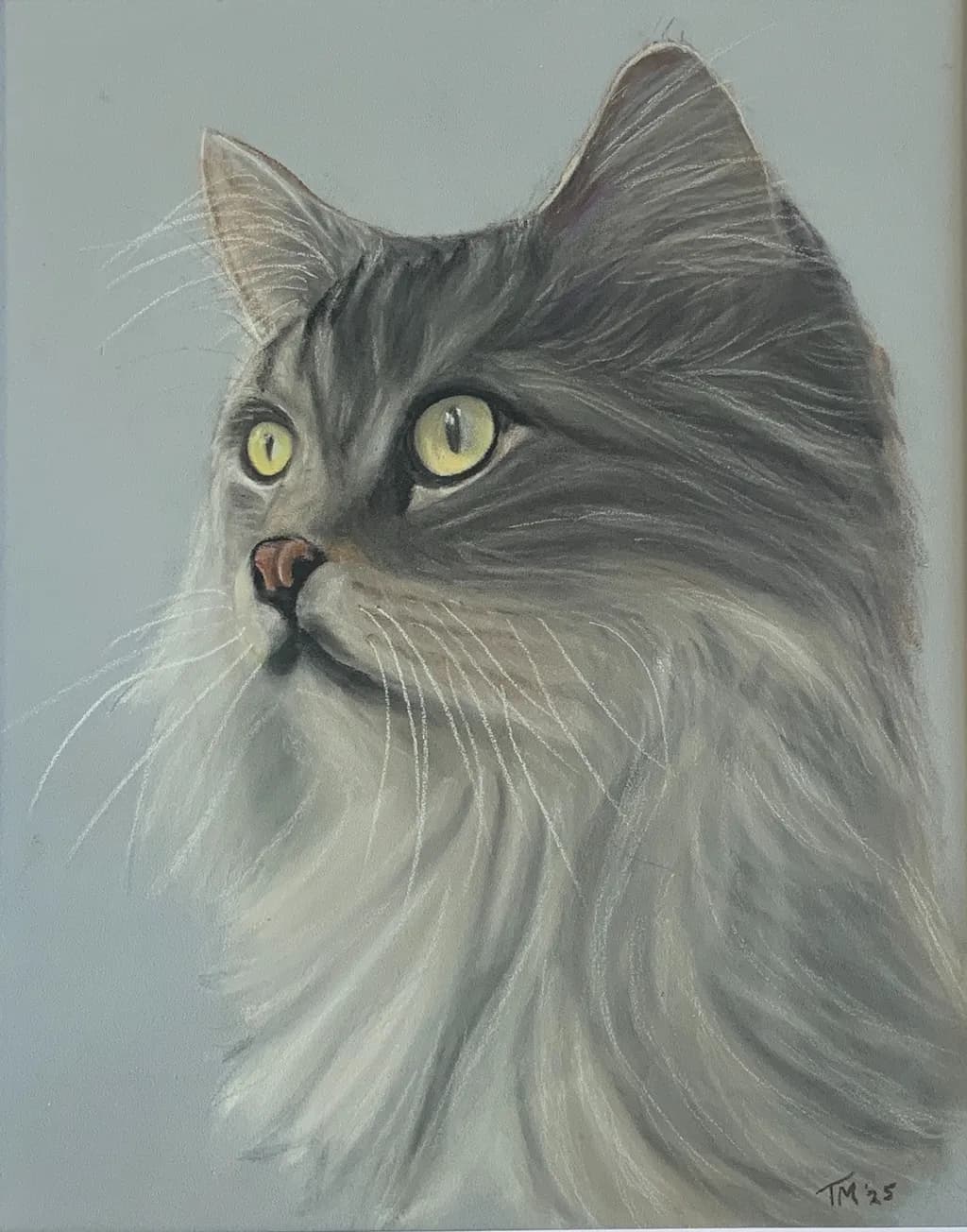 Whiskered Majesty: A Realistic Portrait of a Cat's Graceful Gaze