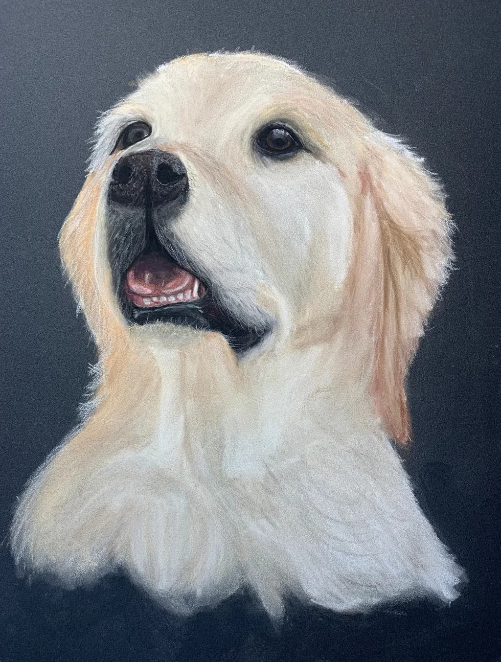 Golden Whispers: A Heartfelt Portrait of a Loyal Companion