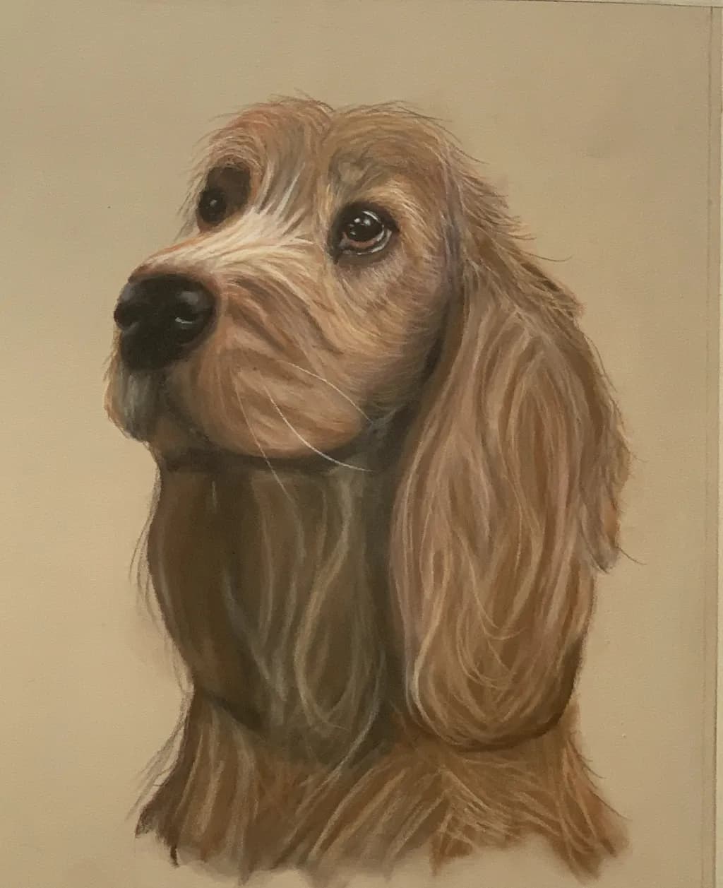 Whiskered Whimsy: A Realistic Portrait of Canine Charm