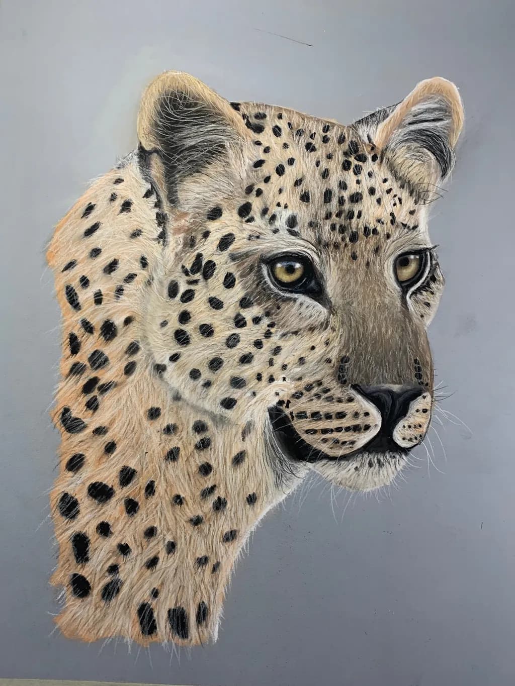 Majestic Gaze: A Realistic Portrait of a Leopard in Stunning Detail