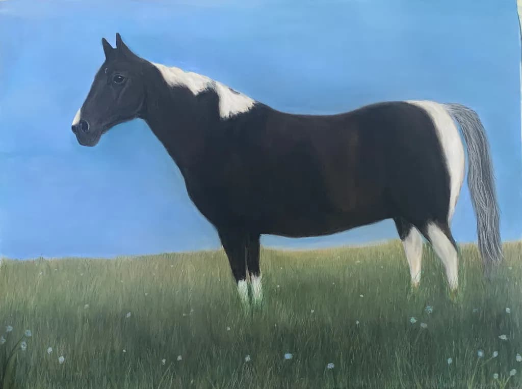 Majestic Harmony: A Black and White Horse in Serene Pastures