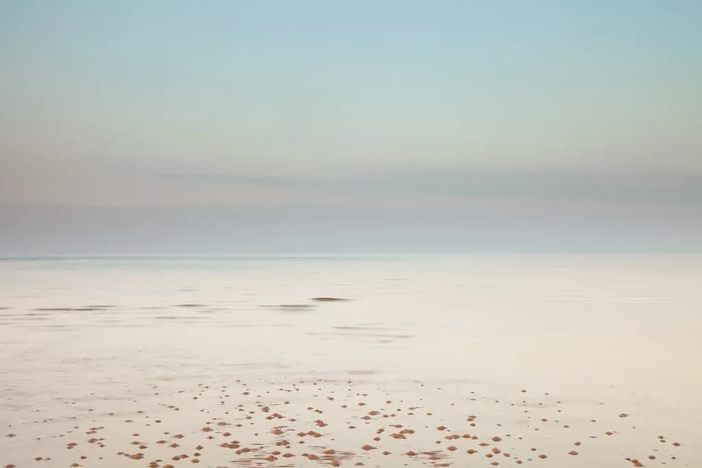 Silent Shoreline