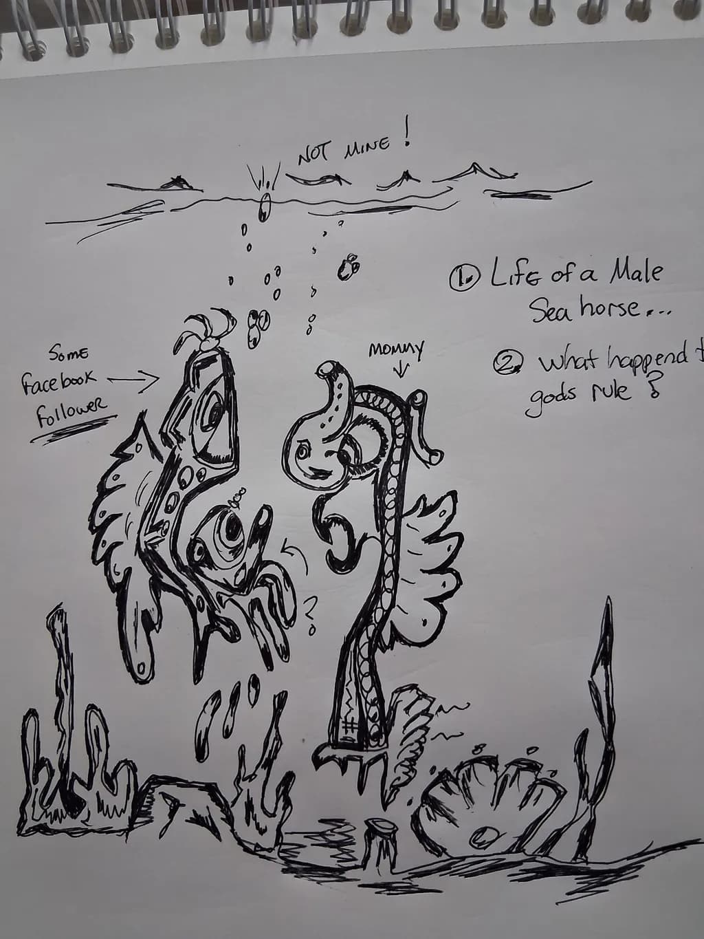 Whimsical Underwater Conversations: The Life and Humor of a Male Seahorse